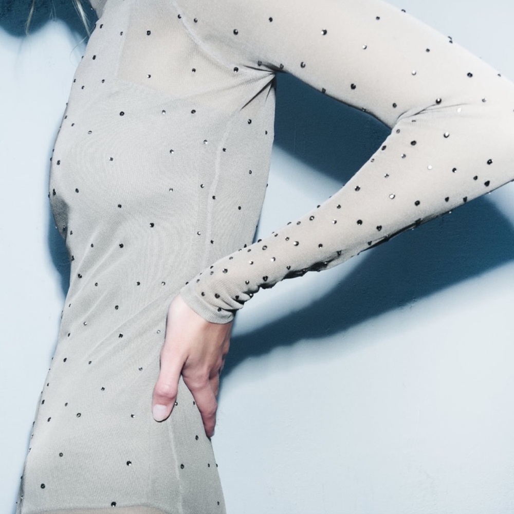 Zara | Sheer Elegant Sheer Gray Maxi Dress
